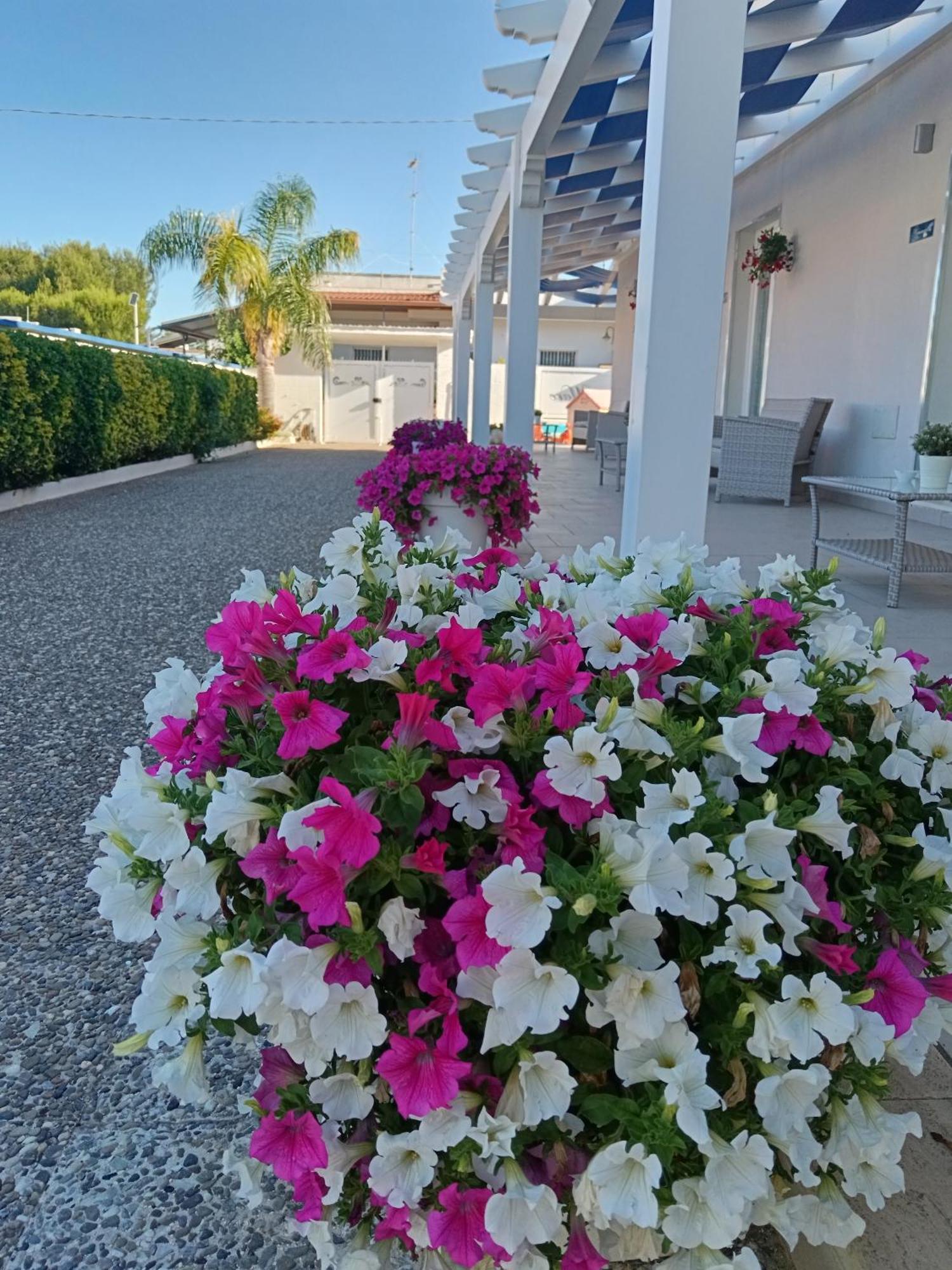 Blu D'Amare B&B Porto Cesareo Exterior foto